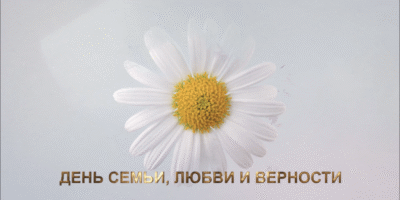 Ромашка -символ праздника Ромашка -символ праздника