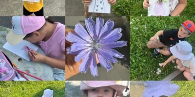 “Цветочная неделя” “Цветочная неделя”